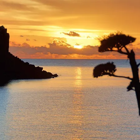 Nichotel 4* Carloforte (Isola di San Pietro)